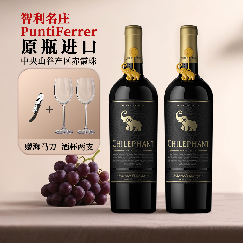 智利进口赤霞珠干红葡萄酒 智象古典窖藏13.5度 高档聚会红酒晚安