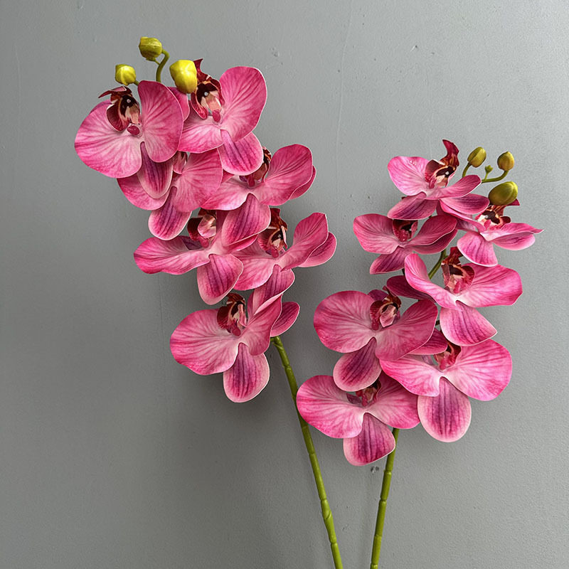 蝴蝶兰仿真花7头手感3D