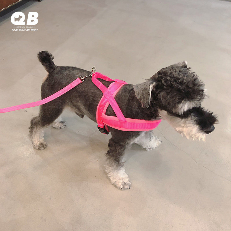热销QB雪纳瑞泰迪柴犬比熊防暴冲防勒海绵缓冲胸背带可调节牵引绳