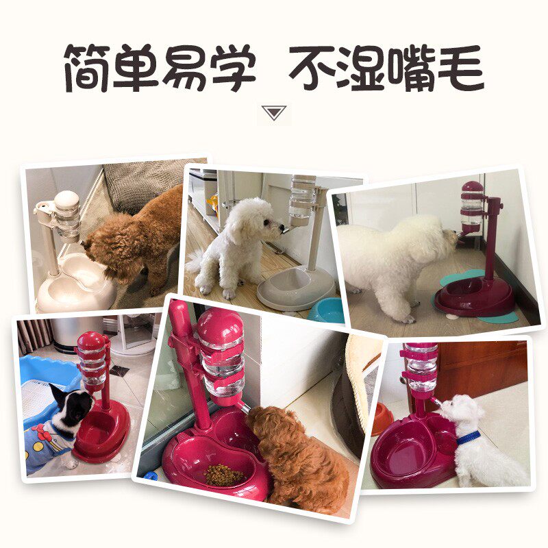 热销狗狗喝水器不湿嘴挂式比熊水壶不插电猫咪自动饮水机喂水宠物