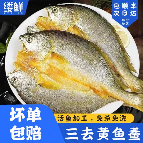 开背新鲜冷冻黄花鱼小黄鱼半成品