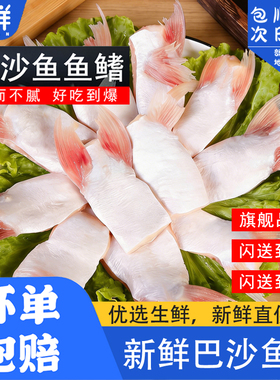 新鲜巴沙鱼鳍冷速急冻鱼肥油鲜活鱼鳍翅鮰鱼腩安康鱼餐饮烧烤商用