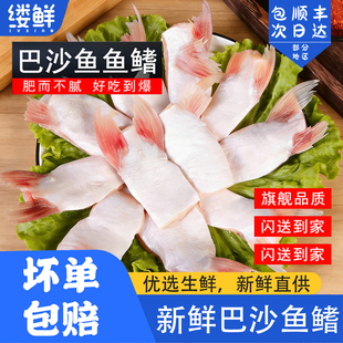 新鲜巴沙鱼鳍冷速急冻鱼肥油鲜活鱼鳍翅鮰鱼腩安康鱼餐饮烧烤商用