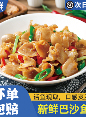 新鲜巴沙鱼肚鱼鳔鱼泡鱼杂餐饮鲜脆冷冻清江石斑鱼肚饭店商用食材