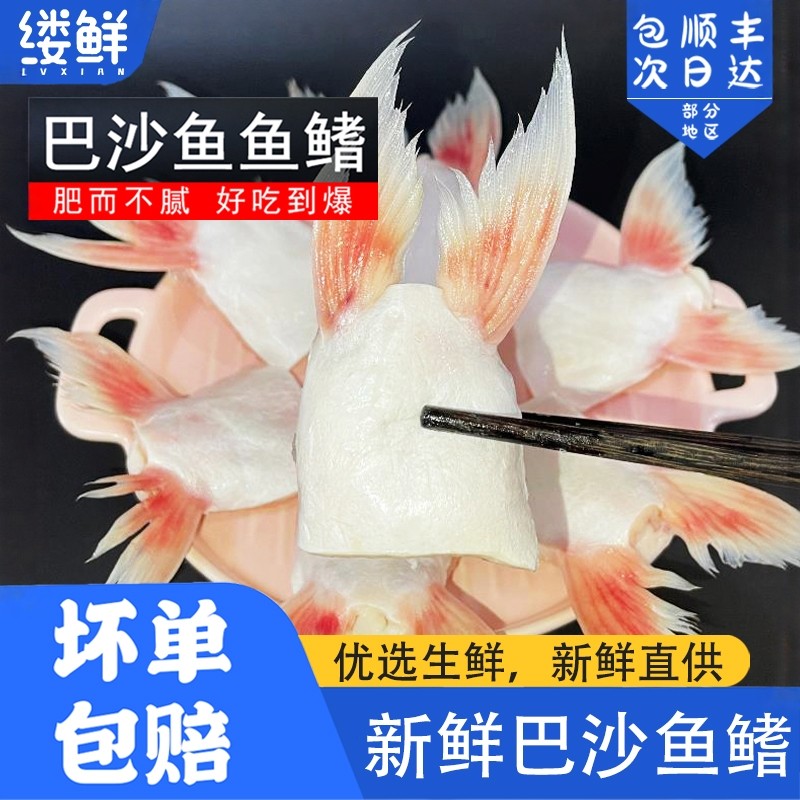 巴沙鱼鳍新鲜冷速急冻鱼肥油鲜活鱼翅鮰鱼鳍鱼腩安康鱼商用批发