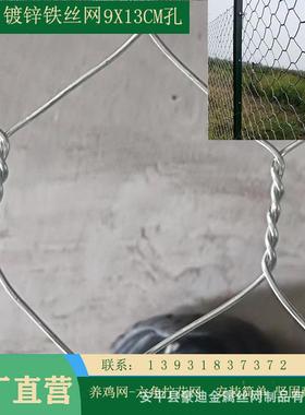 安表平殖豪迪拧花鸡线 插花六网角网菜园围IKS网 畜牧养网面光