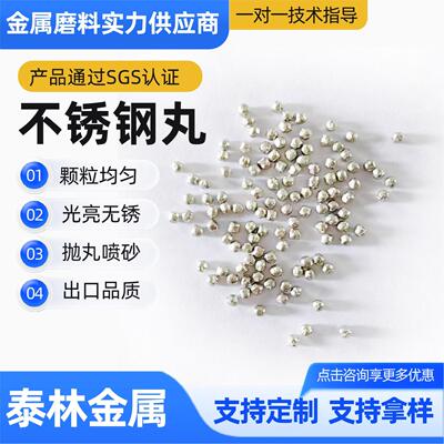 不锈钢steel sht钢砂钢丸丝切丸属磨料SUS304o/金0.3mm不锈钢丸