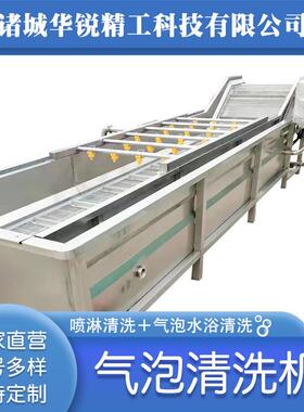 果蔬加鼓泡气泡清机洗机喷淋式菜瓜果洗菜机蔬全自动GDO冷却工流