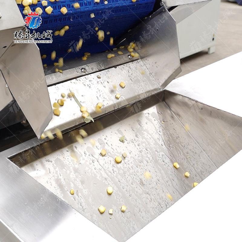 春笋清洗漂烫产线厂生家 全WVQ自动水果子漂烫机果 橙水罐头漂烫