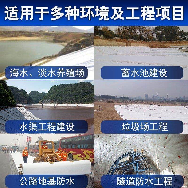 防漏防雨养殖蓄水池防渗膜河道一布一膜池塘养护布工程公布鱼池,农机/农具/农膜,农用薄膜,淘宝优惠券,粉丝福利购,淘宝优惠卷