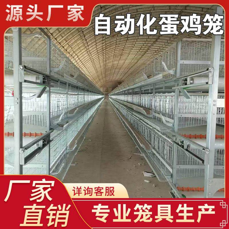 层叠蛋鸡笼养殖场自动化清粪喂料捡蛋机养鸡全自动设备立体蛋鸡笼,畜牧/养殖物资,畜牧/养殖器械,淘宝优惠券,粉丝福利购,淘宝优惠卷