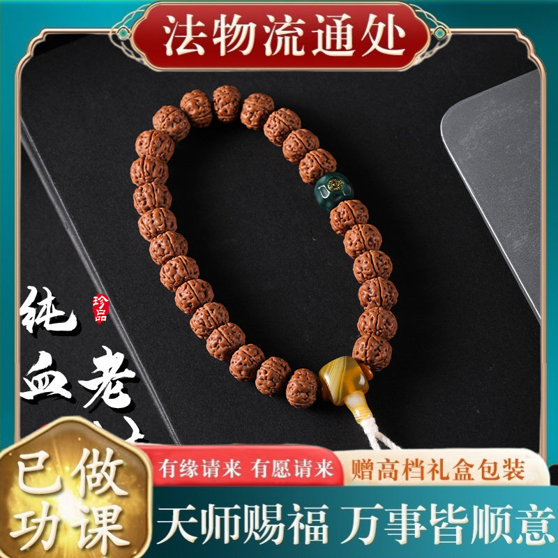 【师傅推荐】精品纯血树王小金刚