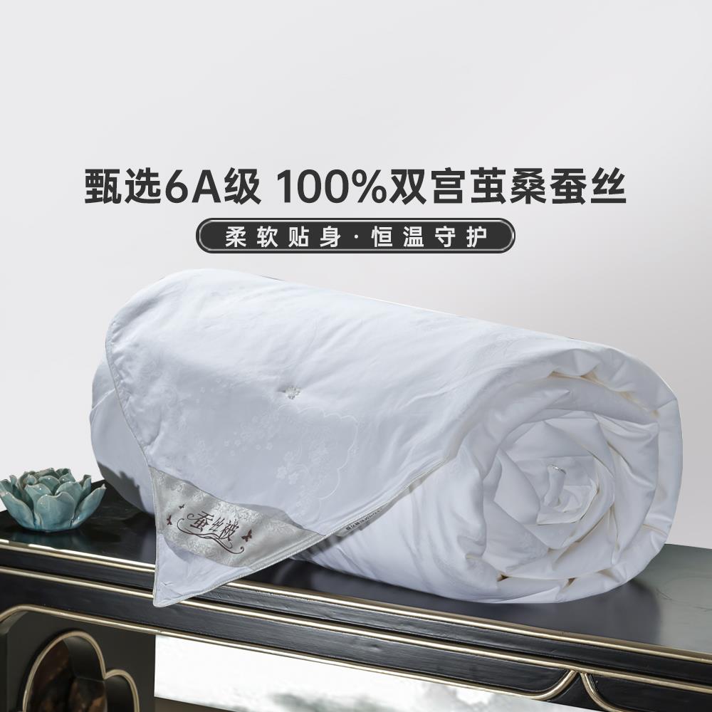 100%双宫茧长丝蚕丝被春秋四季空调冬被正品被芯【可定制子母被】
