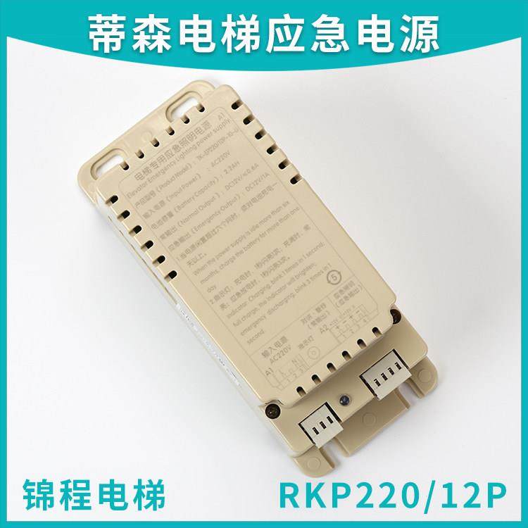 适用于蒂森电梯应急照明电源RKP220/12P德凌TK-EP220/12P-10-Li