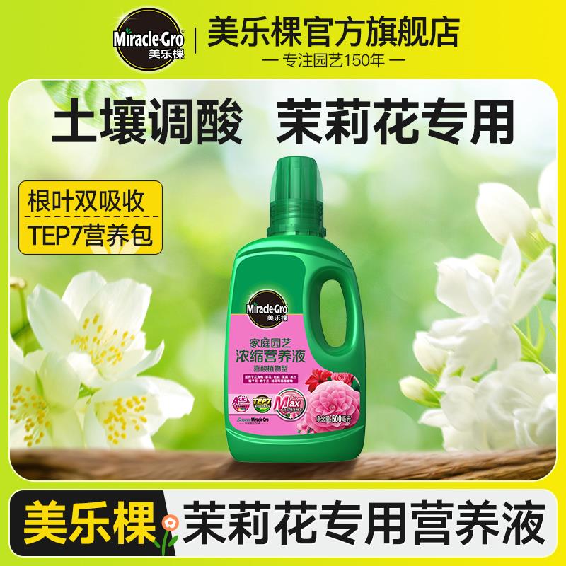 美乐棵茉莉花盆栽花苗专用肥料虎头重瓣茉莉喜酸植物水溶肥营养液