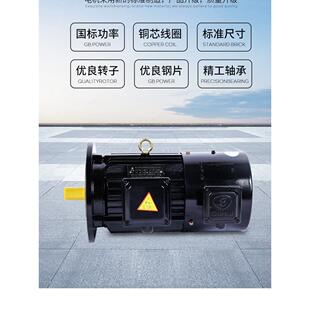 Yvf变频调速三相异步电机Yvp132S-4 5.5Kw变频电机7.5Kw11Kw