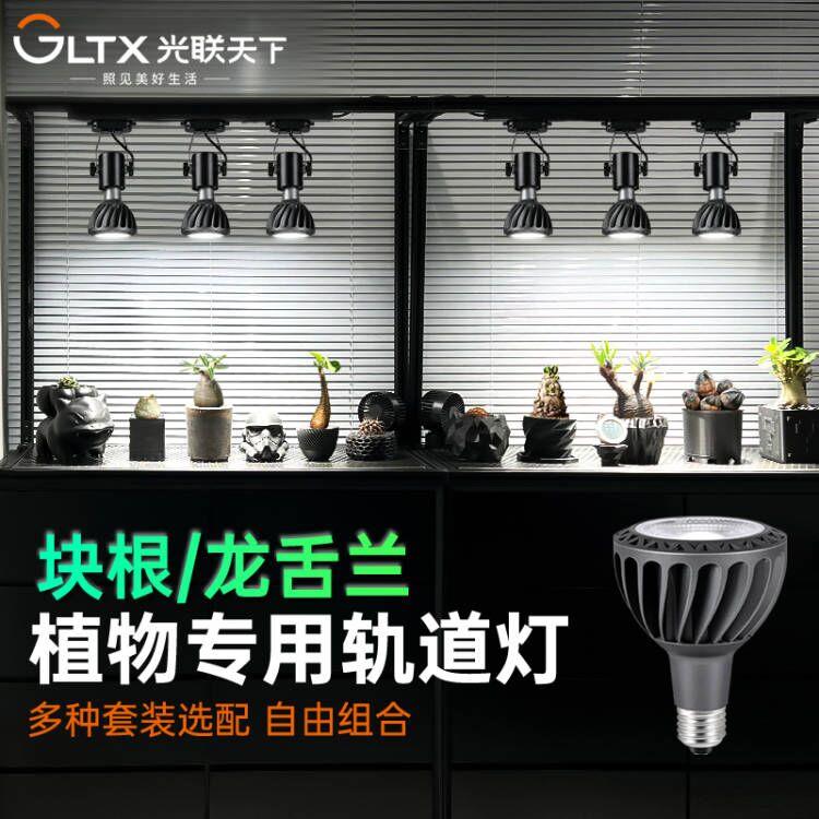光联天下植物补光灯led轨道射灯全光谱龙舌兰块根仙人球生长灯30W