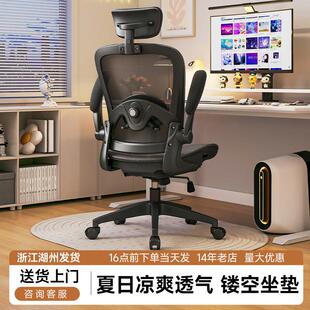 电脑椅护腰人体工学椅家用电竞椅子靠背椅宿舍学习书桌椅办公椅子