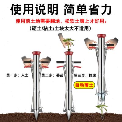 栽苗神器种苗器移苗器种植器播种器栽苗器载苗器栽辣椒苗机种菜机