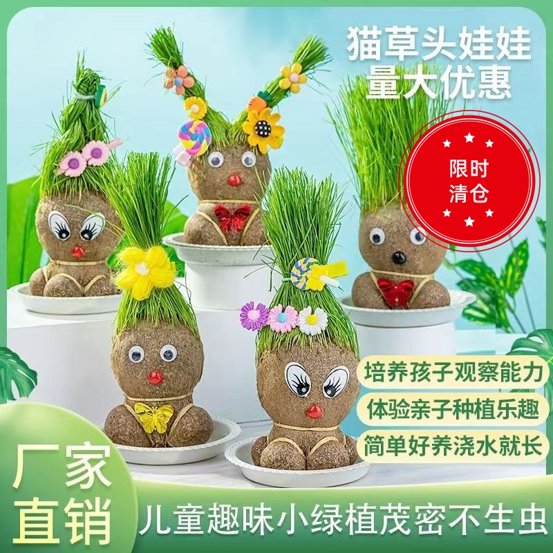 草头娃娃小盆栽草娃娃幼儿园创意
