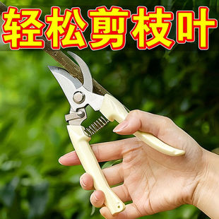 果树剪刀修枝神器摘果剪树剪花卉枝剪刀绿化嫁接园林园艺修剪剪枝