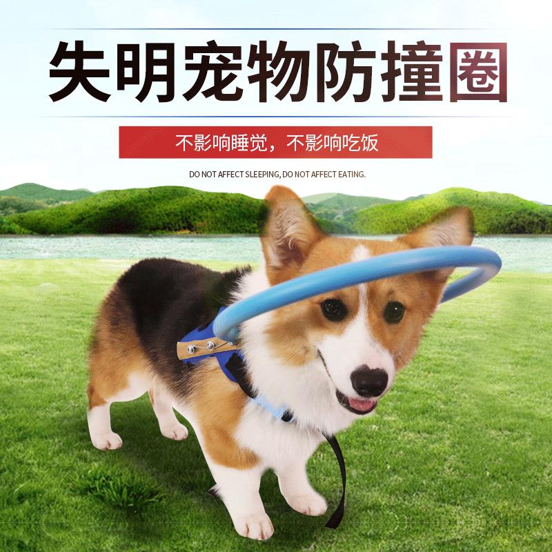 狗狗失明宠物防撞圈瞎子狗猫防撞环动物保护圈导盲圈保护罩