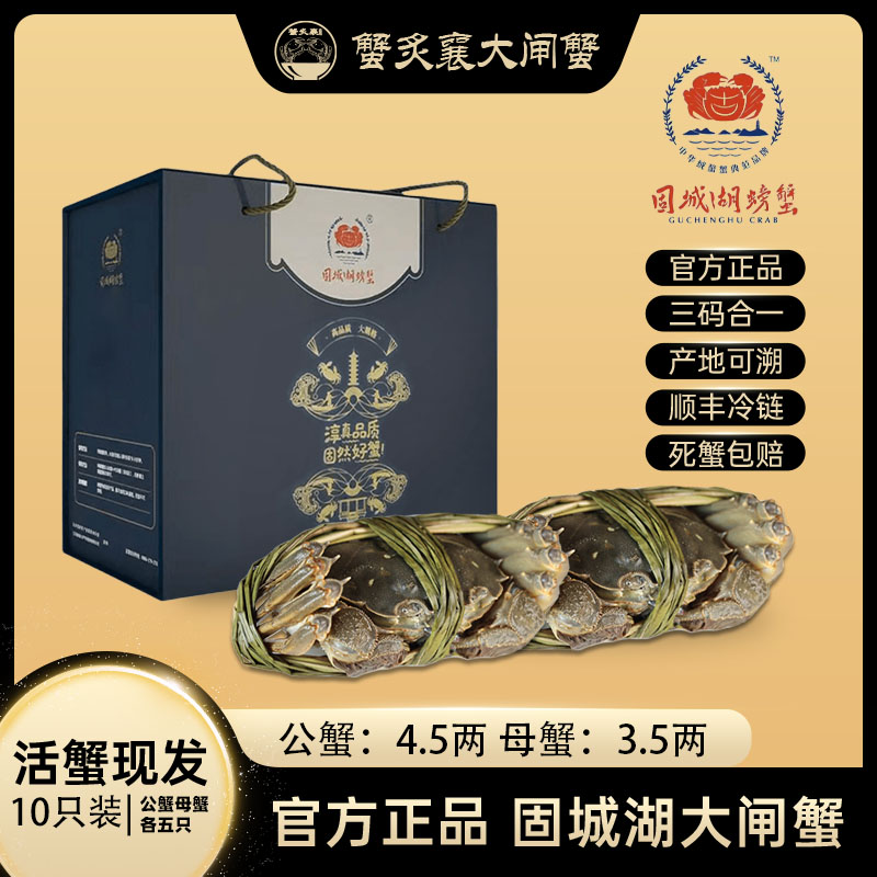固城湖螃蟹10只装公4.5两母3.5两