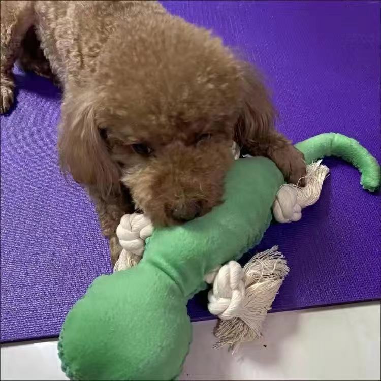 宠物玩具蜥蜴狗狗猫咪耐撕扯咬发声BB叫磨牙棉绳解闷毛绒玩具