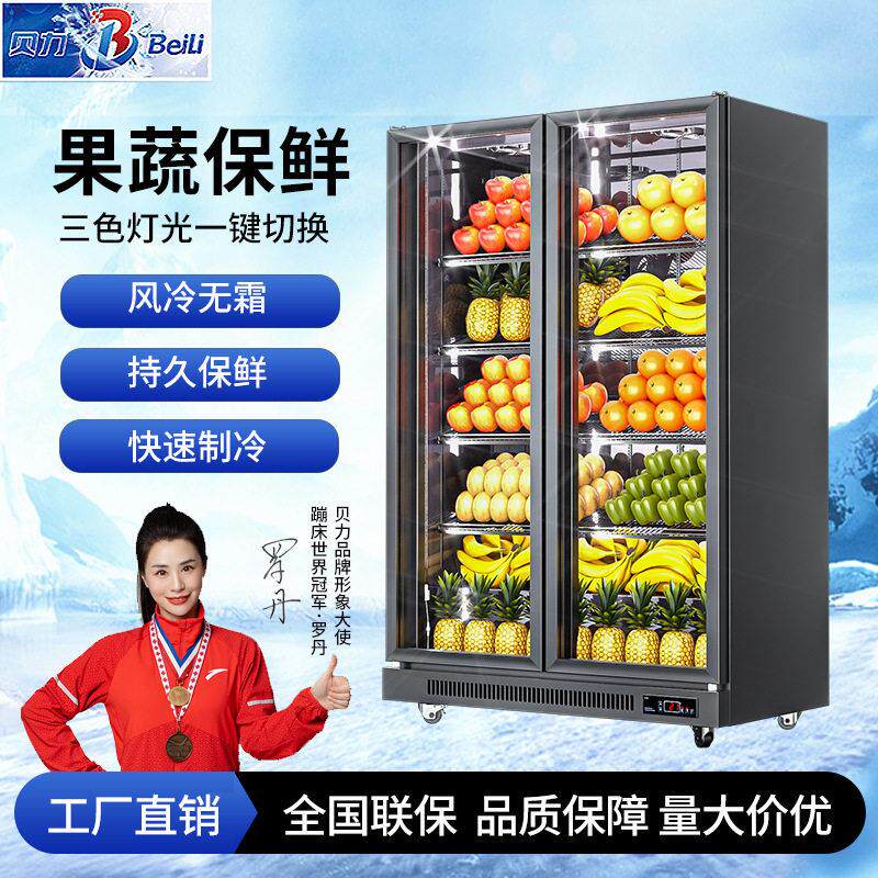 水果冷藏展示柜商用冰柜立式双门保鲜柜蔬菜冷柜跨境冰箱厂家