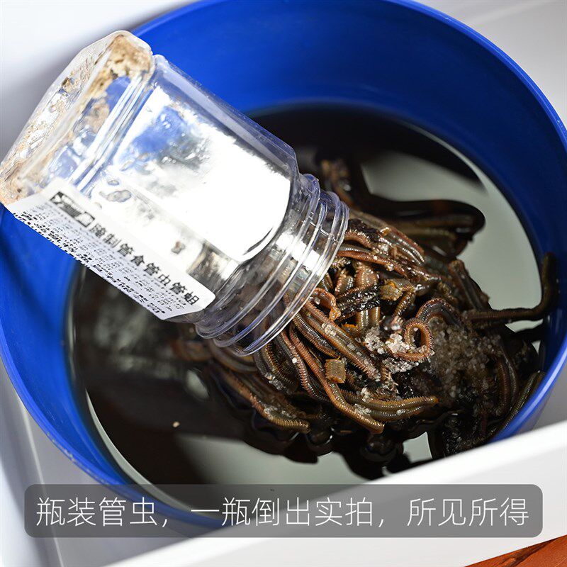 热销海钓鱼饵钓饵腌制管食管虫海蛆管食鱼食沙蚕黄三黄姑白姑黑头