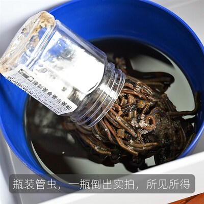 热销海钓鱼饵钓饵腌制管食管虫海蛆管食鱼食沙蚕黄三黄姑白姑黑头
