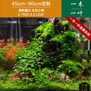 热销生命之树 沉木造景定制  一木一叶造景 沉木 草缸 造景沉木