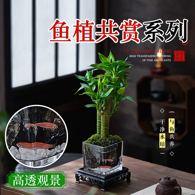 热销桌面绿植苔藓微景观生态瓶盆栽盆景迷你小鱼缸办公桌茶室造景