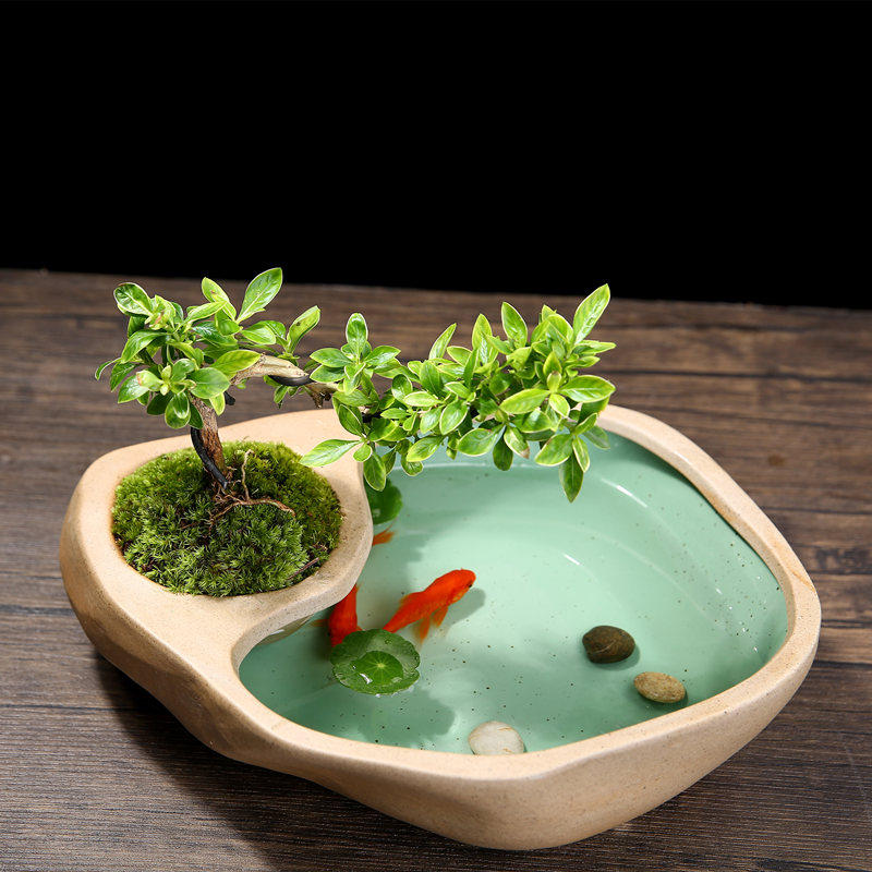 热销铜钱草水培花盆陶瓷盆栽盆大号创意个性水养一叶莲碗莲器皿金