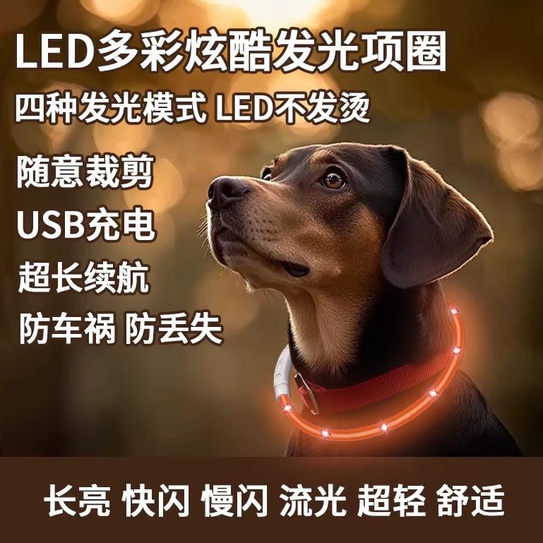 遛狗夜光夜行灯狗狗发光项圈夜间大小型犬防走失带灯充电宠物脖圈
