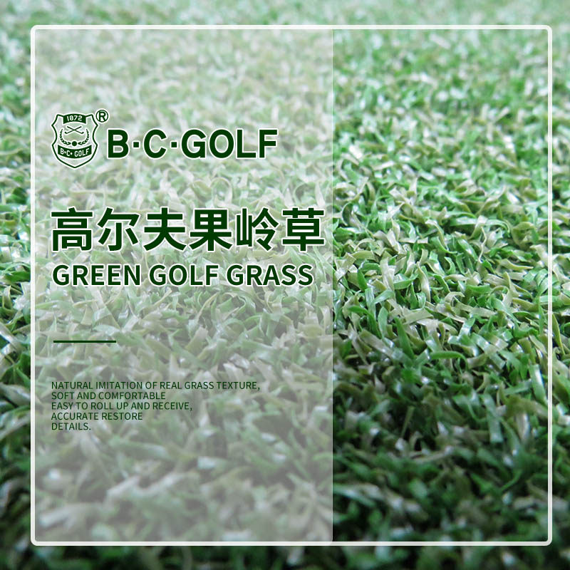 BCGOLF果岭草高尔夫防真草皮球场