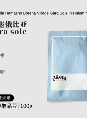 易萃埃塞俄比亚  gara sole精品手冲咖啡豆100g新鲜烘焙