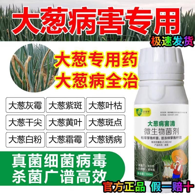 好多邦大葱病害清病菌净毒清微生物菌剂锈病全治专用药肥白斑干品