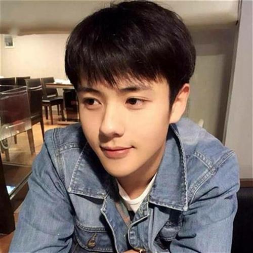 假发男士韩版帅气男生逼真短发假发自然蓬松齐碎浏海学生个性短发