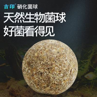 硝化细菌硝化菌颗粒鱼缸专用清澈净水剂养鱼水质净化养鱼用品稳定