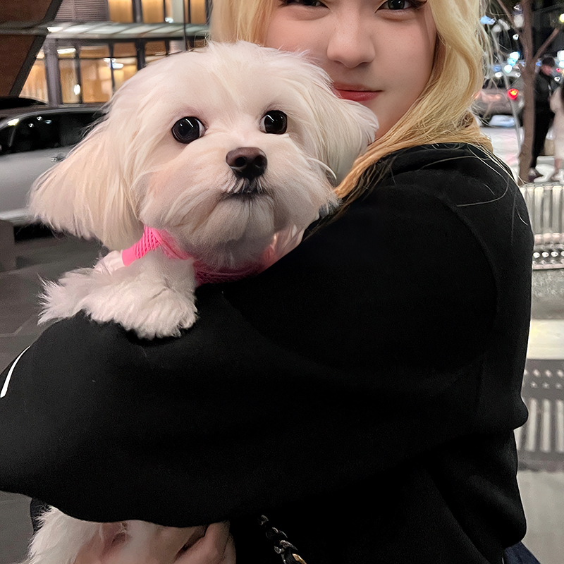 假发全头套女日浅金色素潮色自然蓬松中分大波浪lolita慵懒卷假发