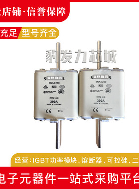 3NA3250 3NA3252 3NA3254全新熔断器现货