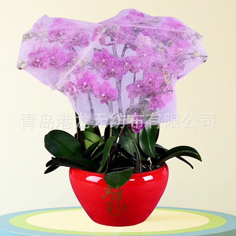无纺布sss sms蝴蝶兰包装粉色 蓝色无纺布切片透气农用鲜花种植布