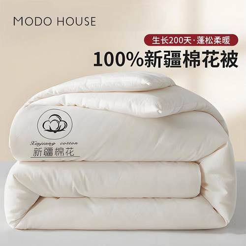 A类100%新疆长绒棉一级棉花被加厚保暖冬被被芯棉被被子春秋被