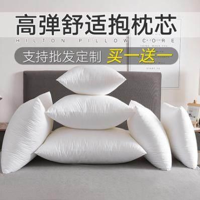 IKAE买 一送一抱枕芯靠枕芯长方形卧室45 50 55 60 65方芯婚庆