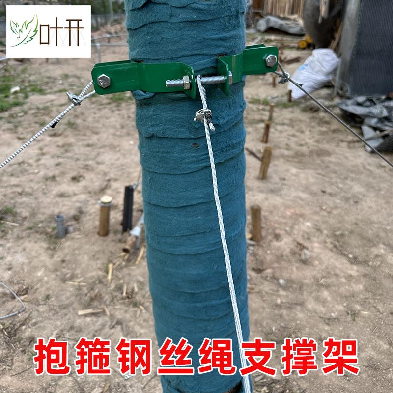 树木支撑架金属铁抱箍固定器园林绿化防风大树撑杆钢丝绳支撑架