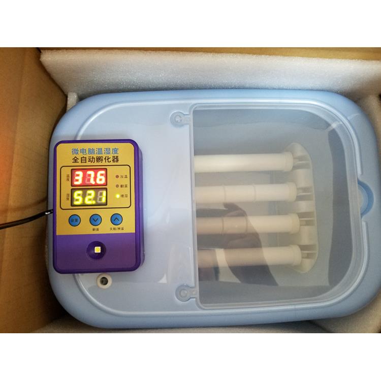 自动育雏保温箱鸟禽小型孵化器 双显温湿度保温箱