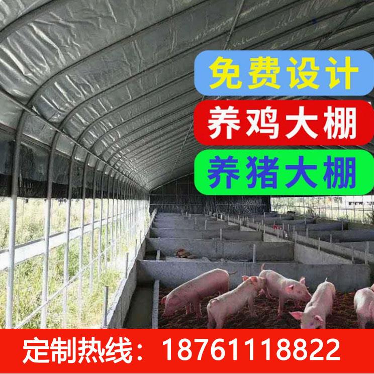 养殖大棚骨架钢管蔬菜种植猪鸡舍牛棚羊圈仓库椭圆管温室大棚全套