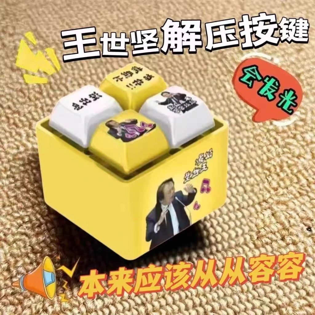 王世坚从从容容发声钥匙扣