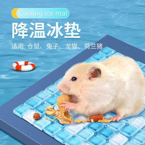 夏天仓鼠降温散热金丝消暑冰垫水晶兔子冰屋垫宠物凉席垫消暑专用